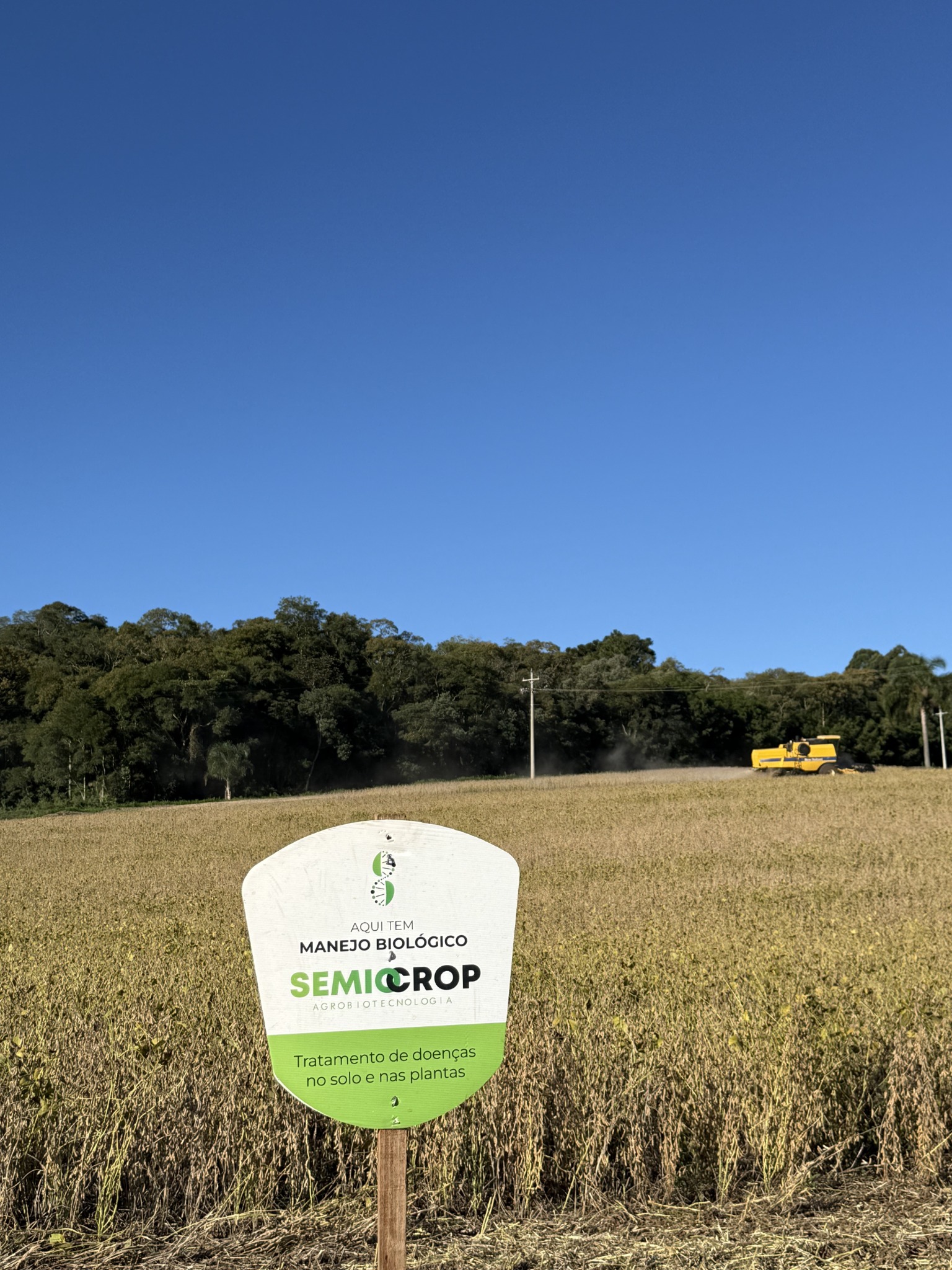 Placa da Semiocrop na lavoura de Aglian Simioni